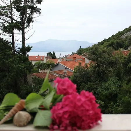 Blossom Apartman Peljeska * Duba